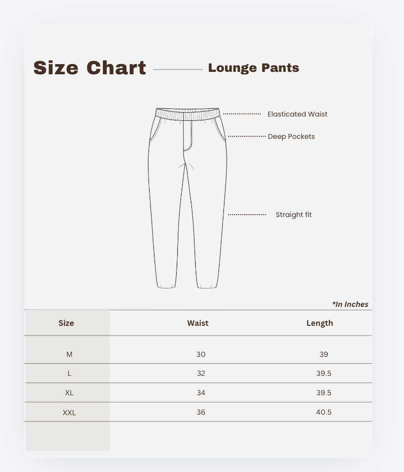 Blue Straight Fit Cotton Pants